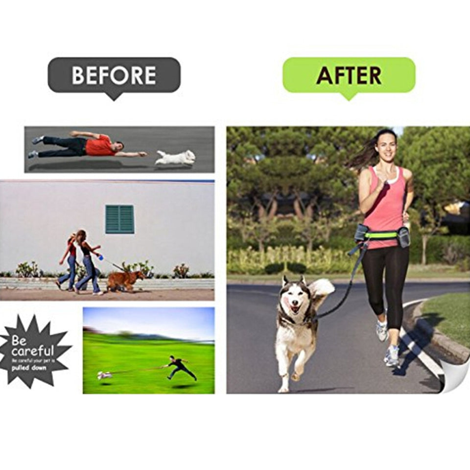 Walking Dog Waist Leash