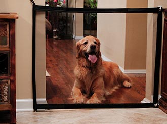Portable Pet Fence