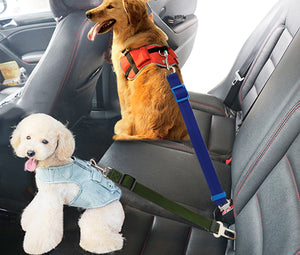 Car Safety Dog Seat Belts