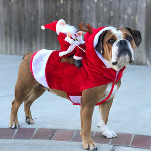 Santa Dog Costume