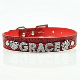 Personalized Dog Collar