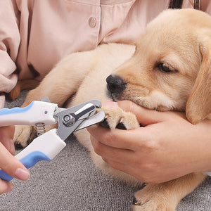 Dog Stainless Steel Nail Clippers
