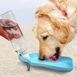 Dog Water Bottle Dispenser