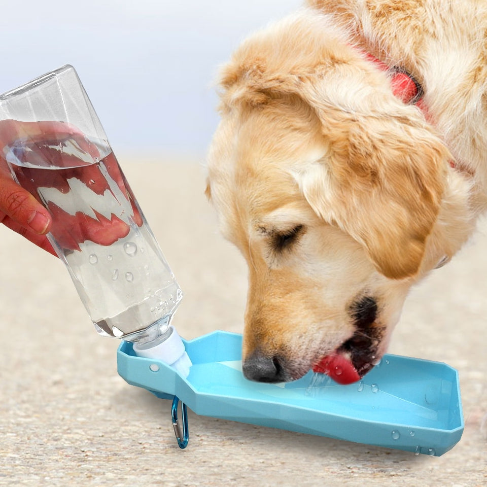 Dog Water Bottle Dispenser