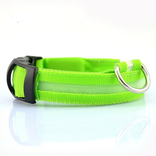 Night Safety LED Dog Collar