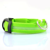 Night Safety LED Dog Collar