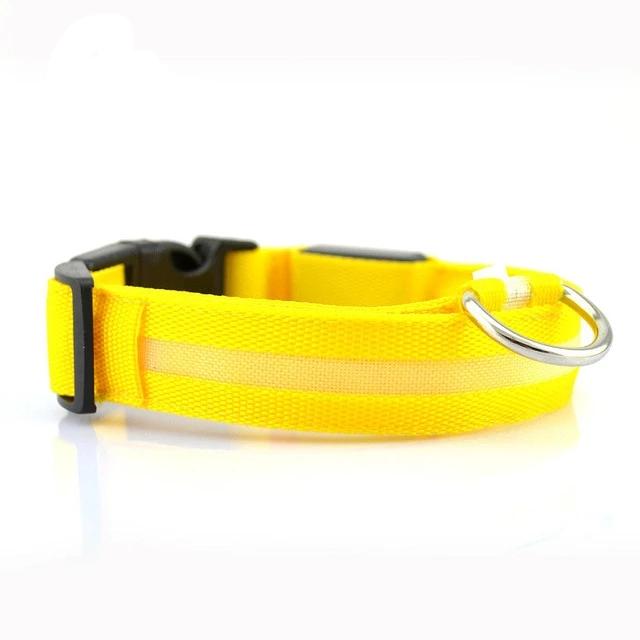 Night Safety LED Dog Collar