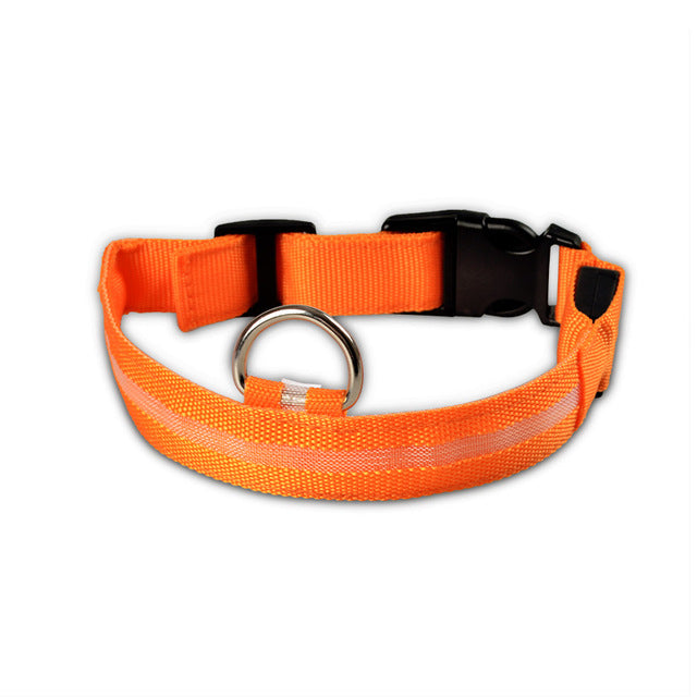 Night Safety LED Dog Collar