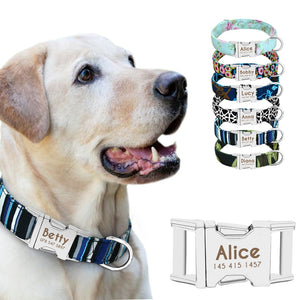 Personalized Dog Collar with Name Plate