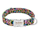 Personalized Dog Collar with Name Plate