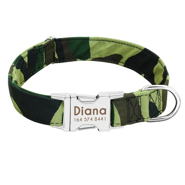 Personalized Dog Collar with Name Plate
