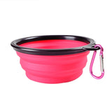 Collapsible Dog Bowl