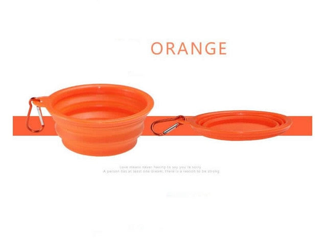 Collapsible Dog Bowl