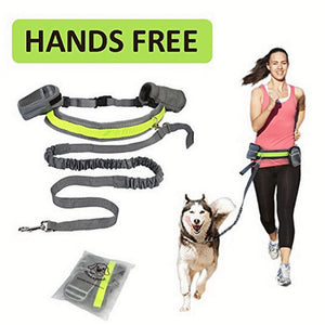 Walking Dog Waist Leash